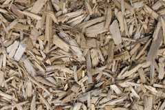 biomass boilers Peppercombe