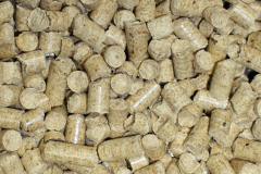 Peppercombe biomass boiler costs
