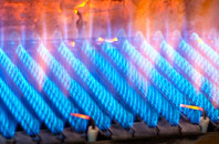 Peppercombe gas fired boilers